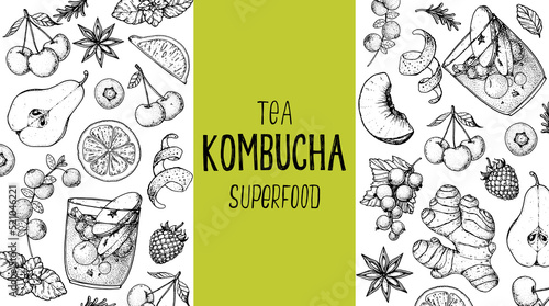 Kombucha tea and ingredients for kombucha sketch. Hand drawn vector illustration. Kombucha drink. Tea mushroom, tea fungus, or Manchurian mushroom.