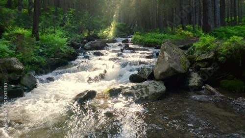 Mountain river flowing inside mysterious forest. Water splases stone rapids at sunset.
