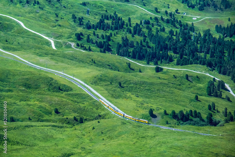 Gelbe Zahnradbahn in grüner Landschaft in den Schweizer Alpen.