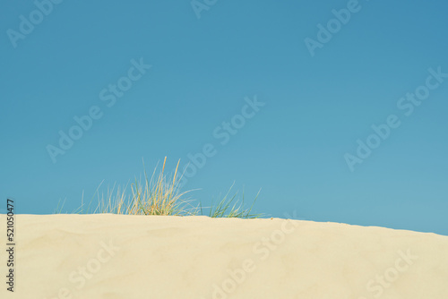 Summer wild beach, sand and bright blue summer sky, grass on the crest of a dune, seaside vacation idea, backdrop or screensaver for advertising