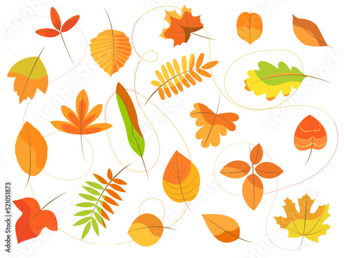 autumn set of 20 leaves of different tree species, yellow, red, orange, isolated on white background, decorative elements
