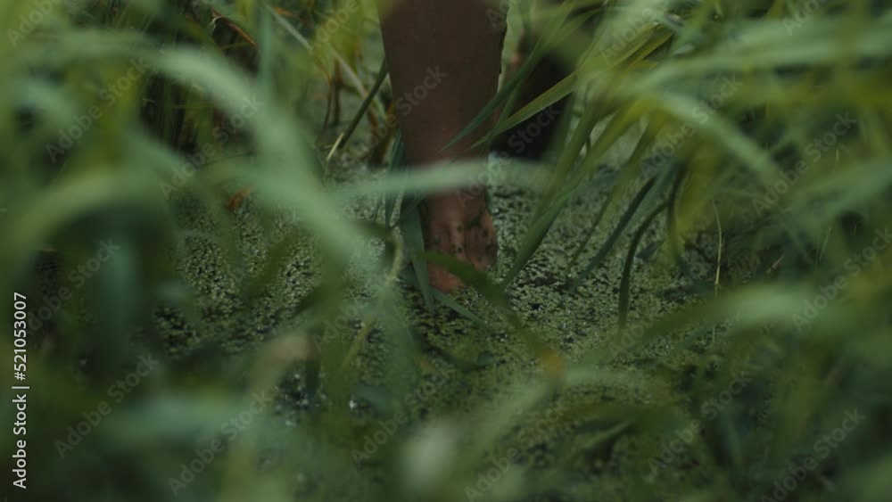 Beautiful female legs go along the path in the thick green grass in the forest. Beautiful female legs go along the path in the thick green grass in the forest.