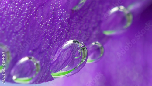 Close-up on bright flower petals bubbles. Stock footage. Oxygen bubbles on edges of petals. Beautiful bubbles on bright flower petals under water
