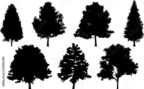 Set of tree silhouettes for the forest or park background. Cedar, oak, robinia, maple black silhouettes.
