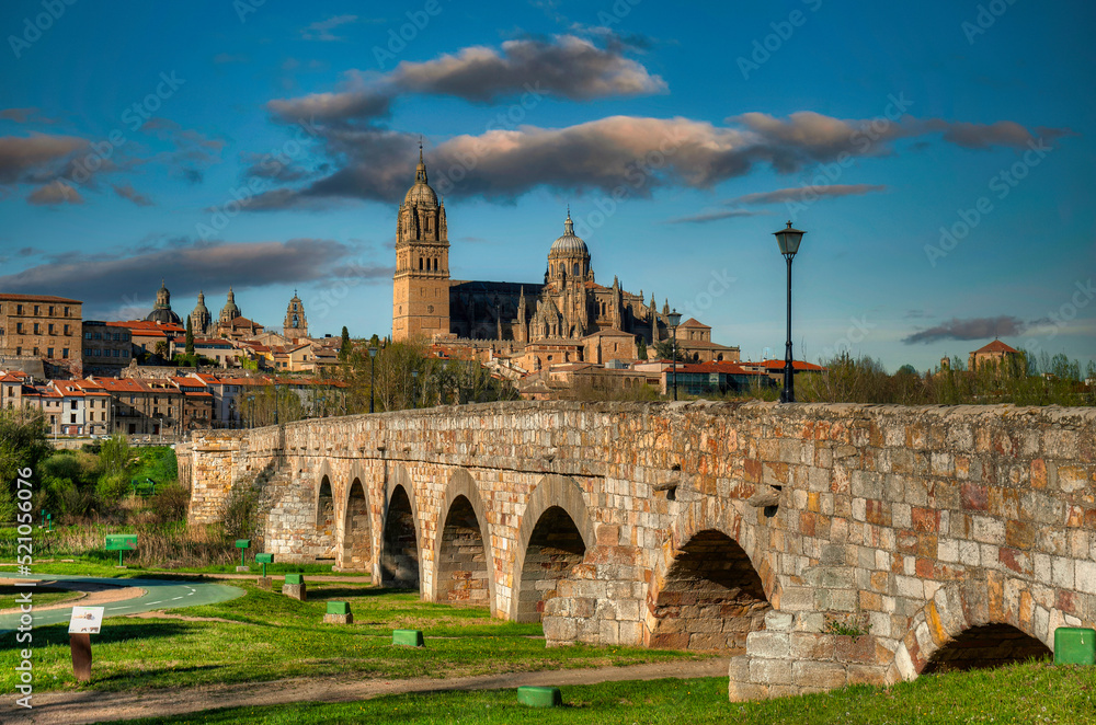 Fototapeta premium City of Salamanca, autonomous community of Castilla y Leon. Spain
