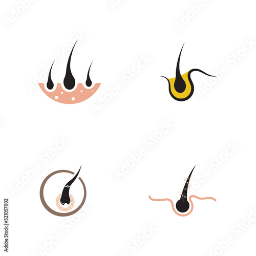 hair care logo with vector illustration template