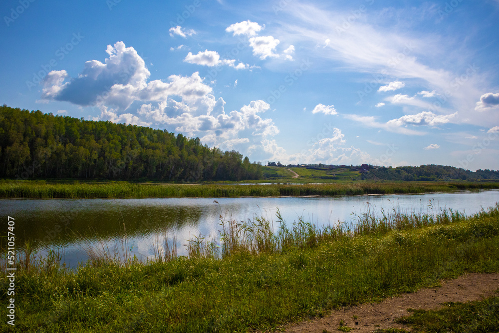 Pond, river, lake among green meadows and trees in summer.