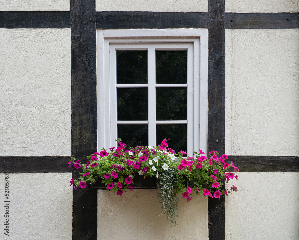 flowerpot on wall of old  timber framing house