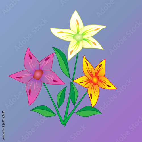 lily vector illustration. Flowers 