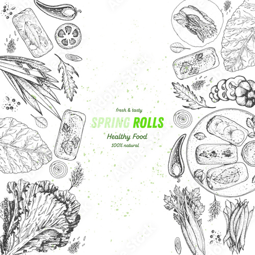 Asian food menu design template. Spring rolls and ingredients for spring rolls vector illustration. Vietnamese food top view frame. Vintage hand drawn sketch vector illustration. Engraved image.