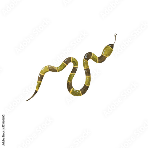 Snake. .Watercolor hand-drawn illustration. Isolated object on a white background. Perfect for your design.