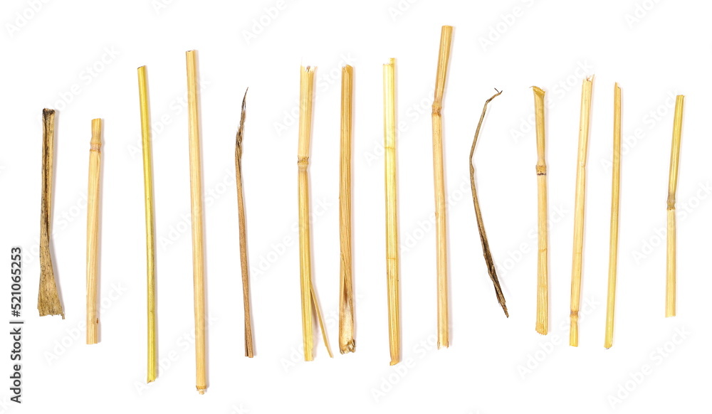 Macro straw isolated on white background for design and construction, clipping path 