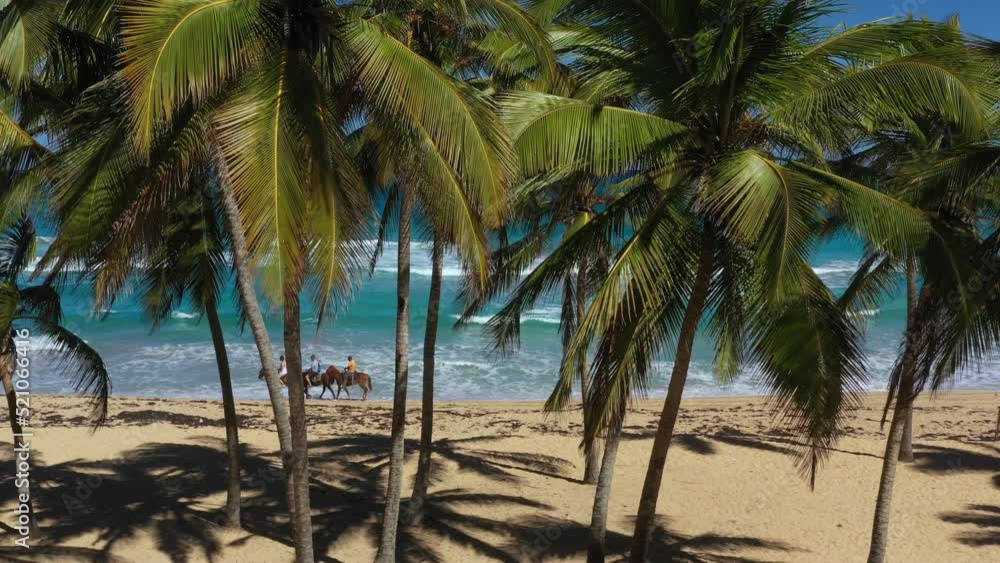 Bounty and pristine tropical shore with coconut palm trees and turquoise caribbean sea. Beautiful landscape. Aerial view from drone Bounty and pristine tropical shore with coconut palm trees and turquoise caribbean sea. Beautiful landscape. Aerial view from drone