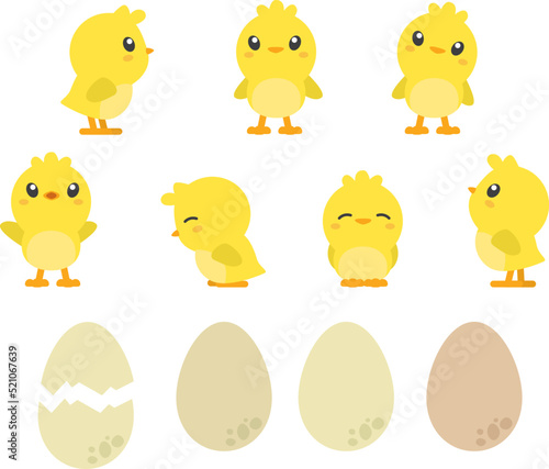 A set of cute kawaii-style baby chickens in different poses with egg illustrations