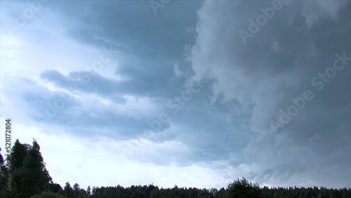 Slika na platnu Forest in windy and cloudy weather in summer