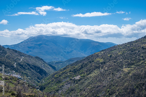 Picturesque mountain valley with trees and bushes in sunny summer day.Blue sky and white clouds in background.