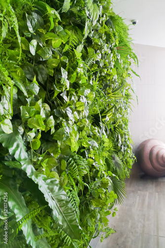 vertical garden. green walls made of artificial plants in a modern office. photo