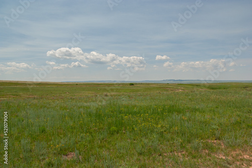 Colorado Prairie