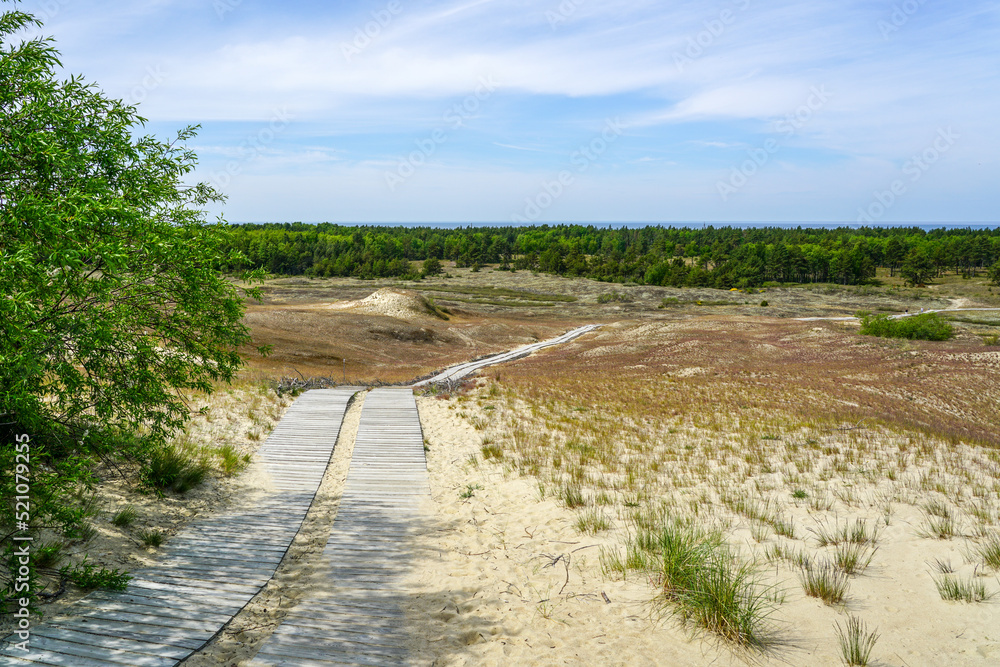 Beautiful landscape of Curonian Spit sand dunes by Baltic Sea Curonian Lagoon, Neringa, Lithuania