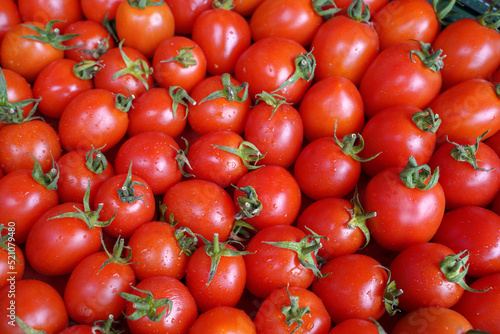 red tomatoes background. ripe organic tomato.
