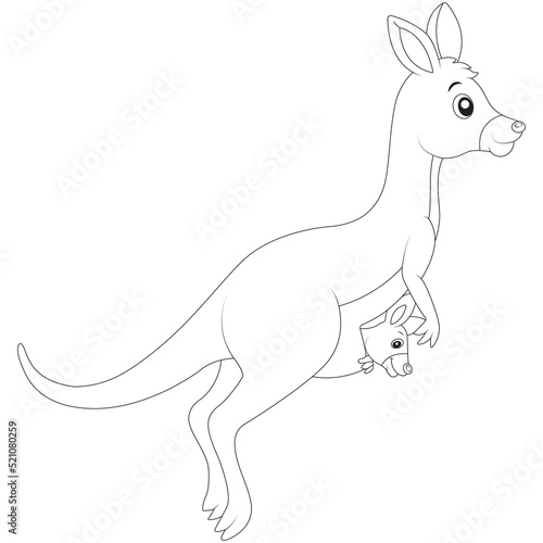 funny kangaroo coloring page for page for kids