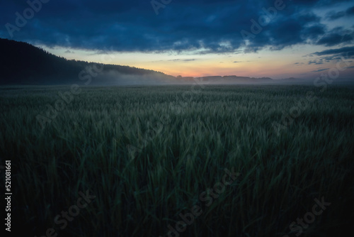 Mystical nightscape of foggy cloudy dusk in the wheat field and mountains in the summer white night