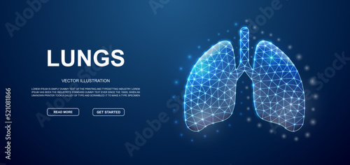 Lungs 3d low poly symbol with connected dots for blue landing page template. Respiratory system design concept. Polygonal Organ illustration