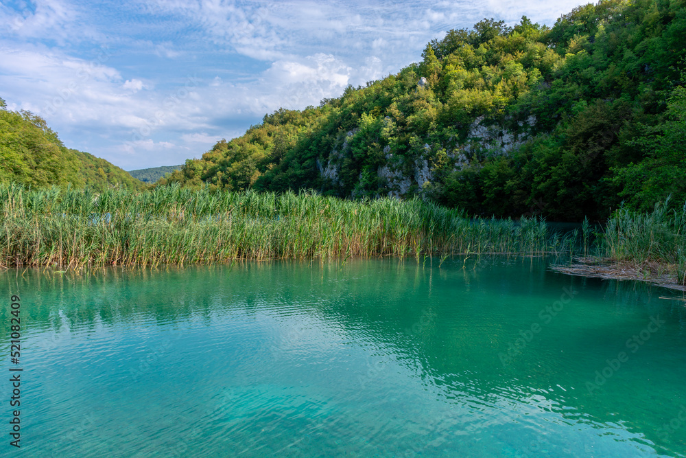 Plitvice lakes in Croatia, beautiful summer landscape with turquoise water