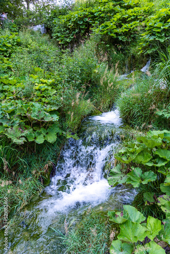 Plitvice lakes in Croatia, beautiful summer landscape with waterfalls