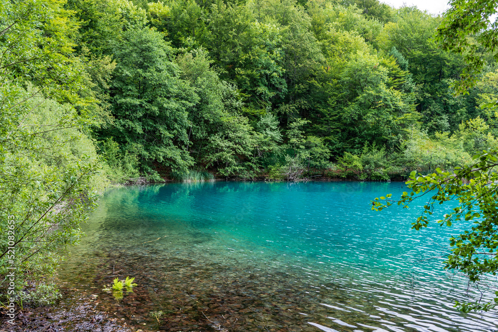 Naklejka premium Plitvice lakes in Croatia, beautiful summer landscape with turquoise water