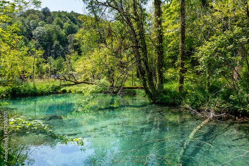 Plitvice lakes in Croatia  beautiful summer landscape with turquoise water
