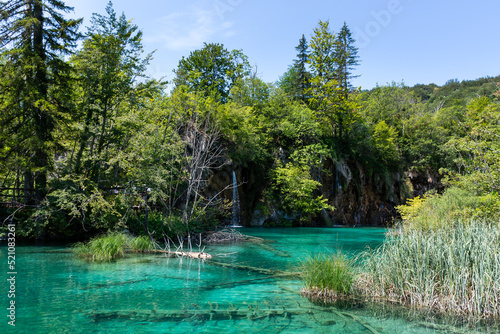 Plitvice lakes in Croatia  beautiful summer landscape with turquoise water