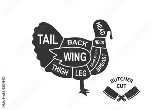 Turkey scheme cuts. Butcher diagram poster. Meat diagram scheme illustration. Cuts of turkey meat. Farm animal silhouette.