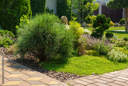 Beautifully trimmed bushes and flowers in a flowerbed. Landscape design, beautiful backyard garden. High quality photo