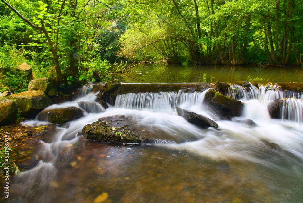 waterfall in the forest