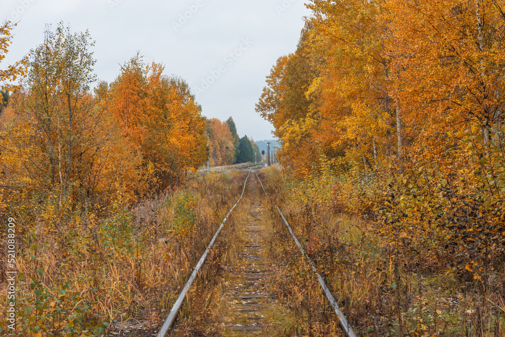 Railway track by the station in the forest. Railway track by the station in the forest.