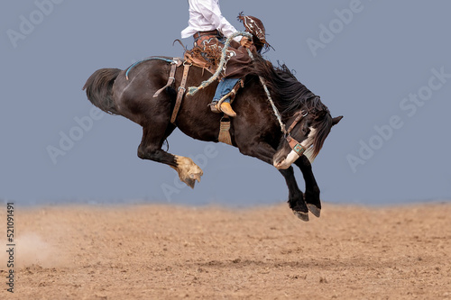 Cowboy riding a bucking bronc at a country rodeo Australia. Background replaced.
