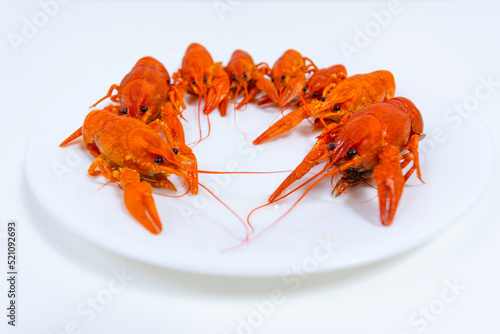 Group of boiled river red crayfish are laid out on a plate. White background. Catching crayfish for human consumption. Delicious food.