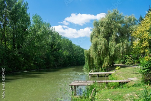 River creek of the Danube river in Bezdan, Sombor, Serbia on nice summer afternoon with little boat docks and Salix Babylonica tree ( weeping willow ) 
