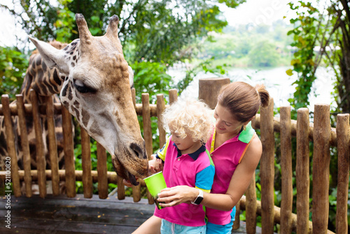 Kids feed giraffe at zoo. Family at safari park.