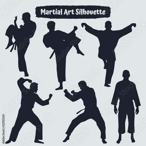 Collection of Martial art silhouettes in different poses