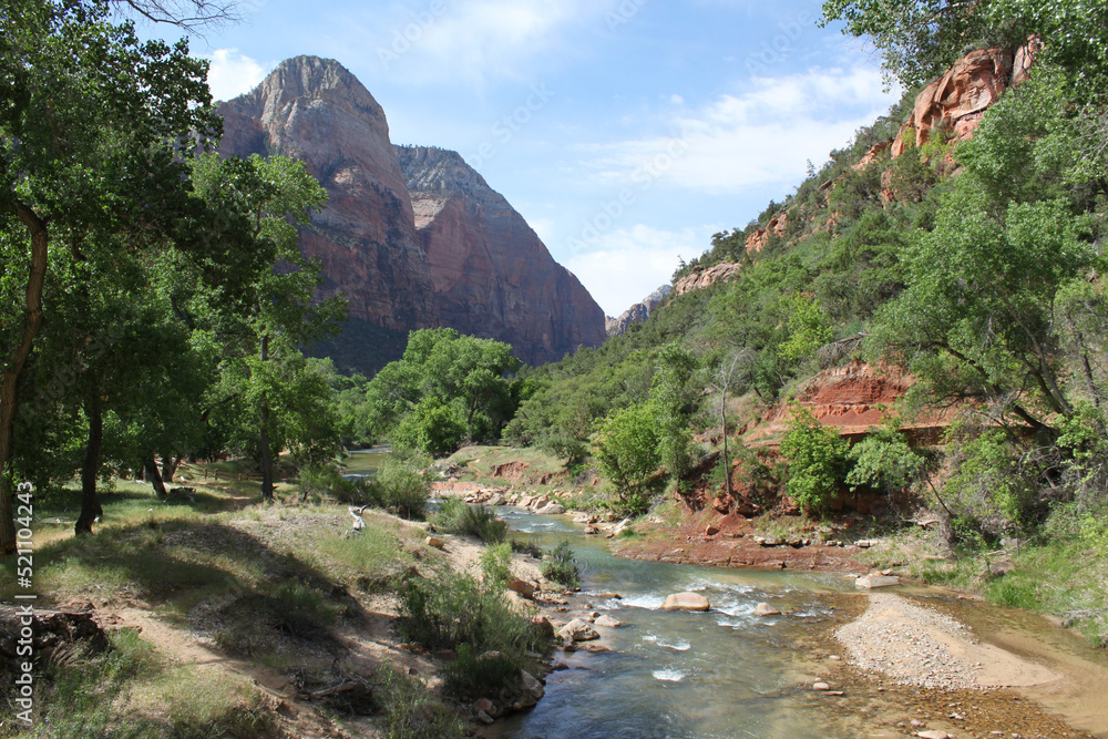 Shallow slow moving river carves an ancient path through the lush tree lined canyon within the park