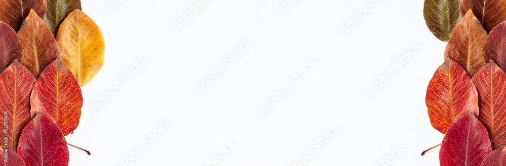Flat lay top view banner close up of yellow, green, brown, red and orange autumn leaves on the left site of the frame on white background. Warm color template fall concept with copy space Flat lay top view banner close up of yellow, green, brown, red and orange autumn leaves on the left site of the frame on white background. Warm color template fall concept with copy space
