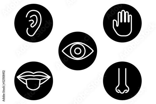 5 feel the icon. Vector illustration. Stock image. 