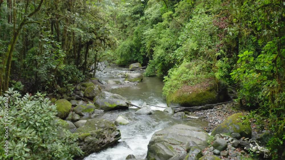 Aerial Drone View of River in Costa Rica Rainforest Scenery, Beautiful Nature with Water Flowing Through the Jungle at Savegre, San Gerardo De Dota, Central America Aerial Drone View of River in Costa Rica Rainforest Scenery, Beautiful Nature with Water Flowing Through the Jungle at Savegre, San Gerardo De Dota, Central America