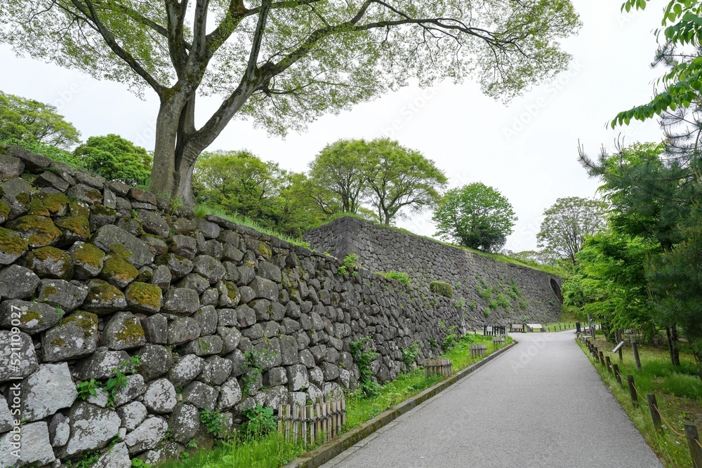 古い石垣と新緑に囲まれた春の城内の情景＠石川