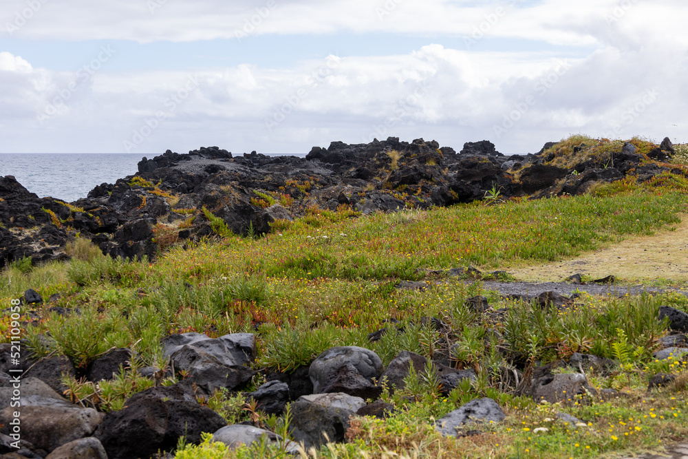 Fototapeta premium landscape with rocks