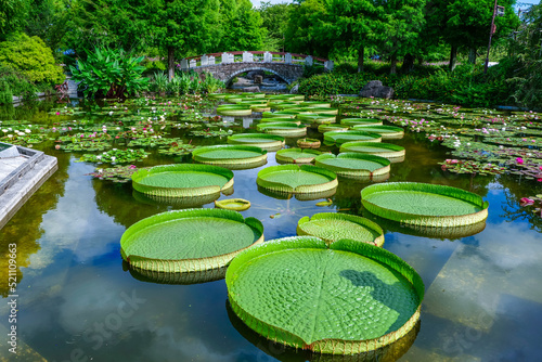 水生植物公園みずの森 滋賀県草津市 © beeboys