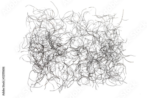 pubic hair fall isolated on white background