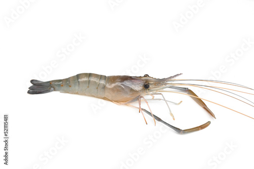 Fresh shrimp isolate on white background.Giant freshwater prawn.